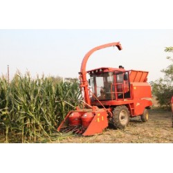 1-BIGDEL 2 SIRALI MISIR SILAJ MAKİNESİ